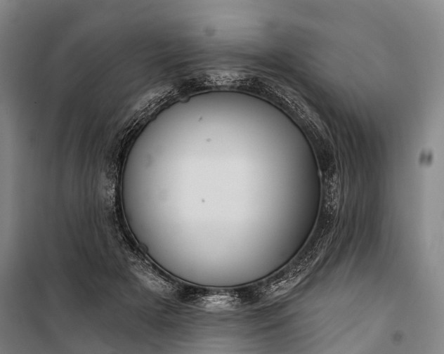 X0000101160505200807111032