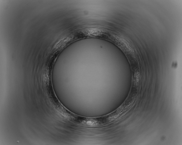 X0000101160506200807111032