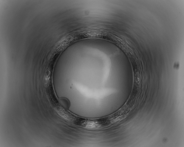 X0000101160507200807111032