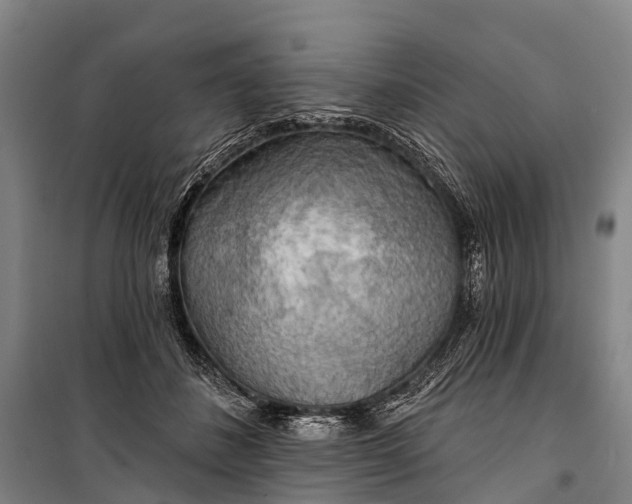 X0000101160508200807111032