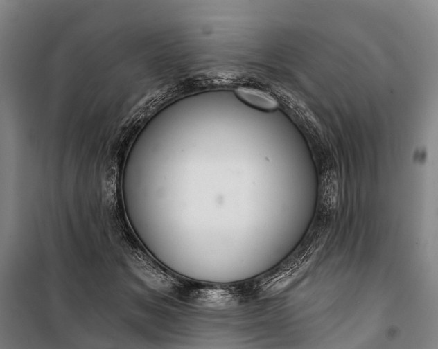 X0000101160509200807111032