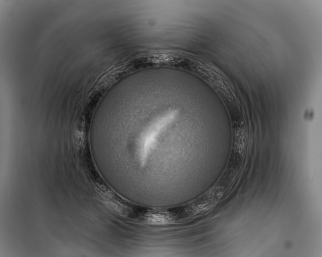 X0000101160510200807111032