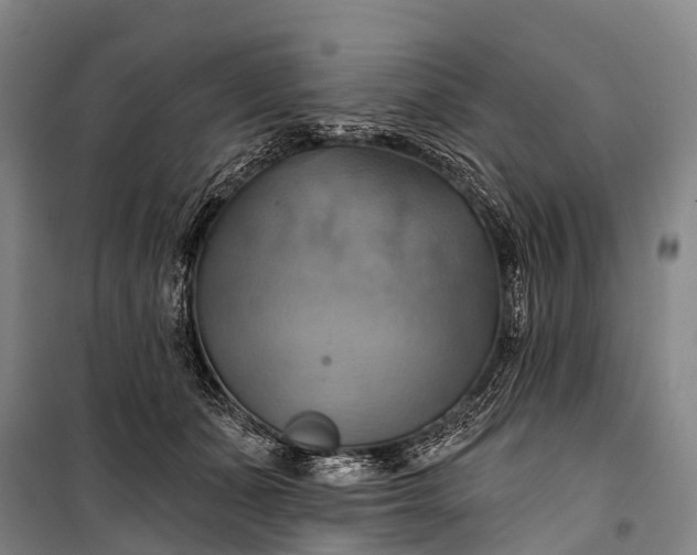 X0000101160511200807111032