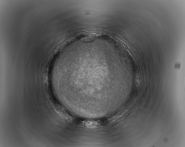 X0000101160512200807111032