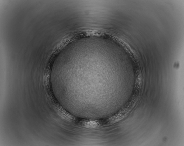 X0000101160513200807111032