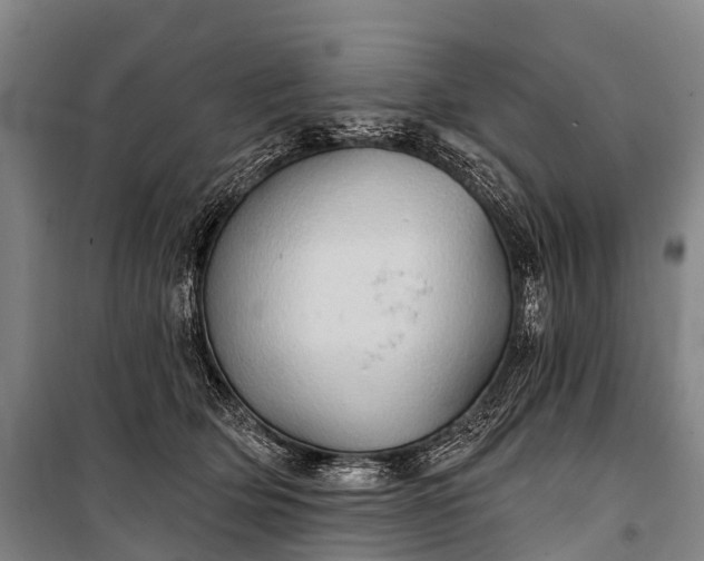 X0000101160514200807111032