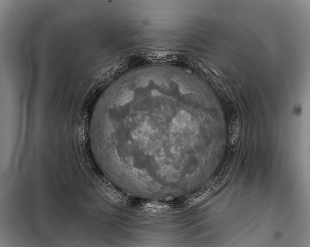 X0000101160515200807111032