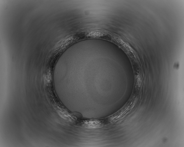 X0000101160517200807111032