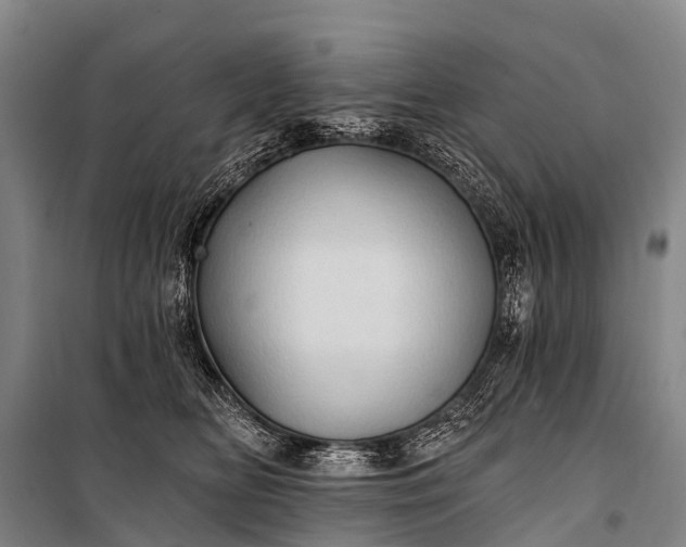 X0000101160518200807111032