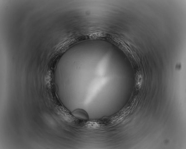 X0000101160519200807111032