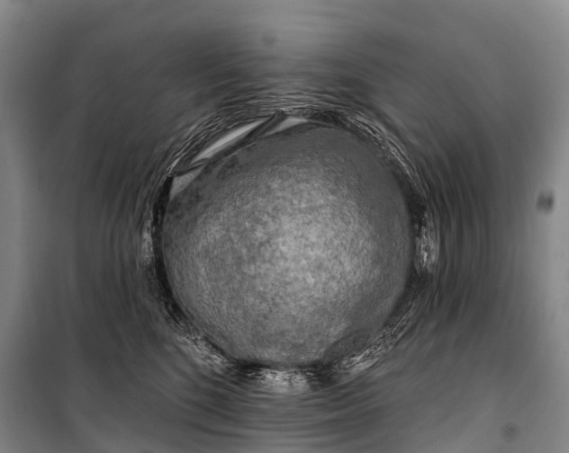 X0000101160520200807111032