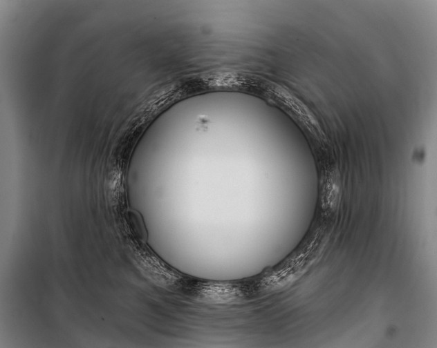 X0000101160521200807111032