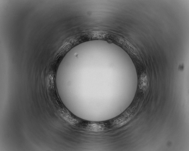 X0000101160522200807111031