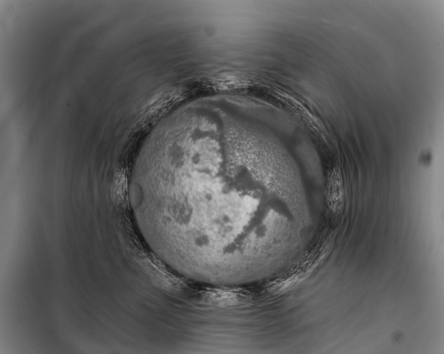 X0000101160523200807111031