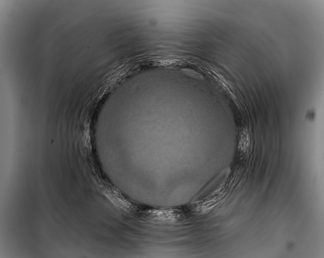 X0000101160524200807111031