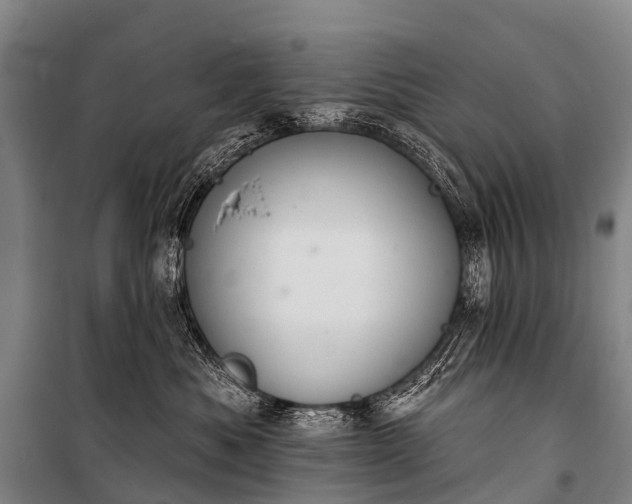 X0000101160525200807111031