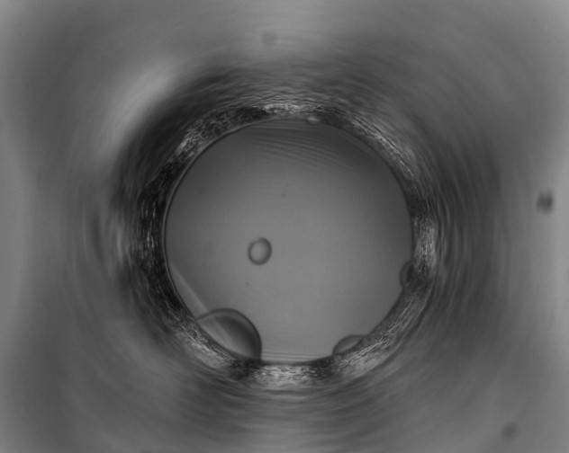 X0000101160526200807111031