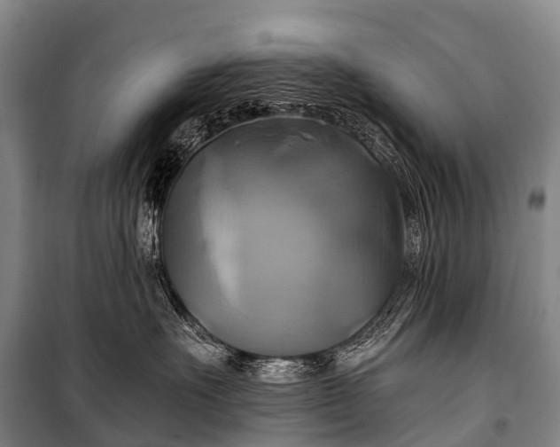 X0000101160527200807111031