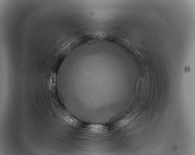 X0000101160528200807111031