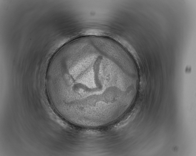 X0000101160529200807111031