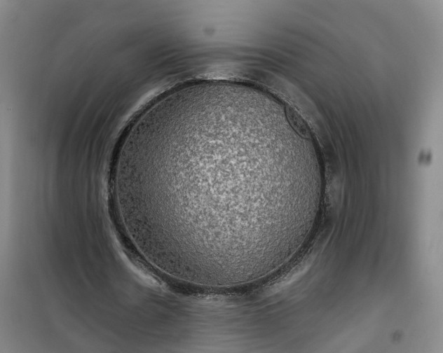 X0000101160530200807111031