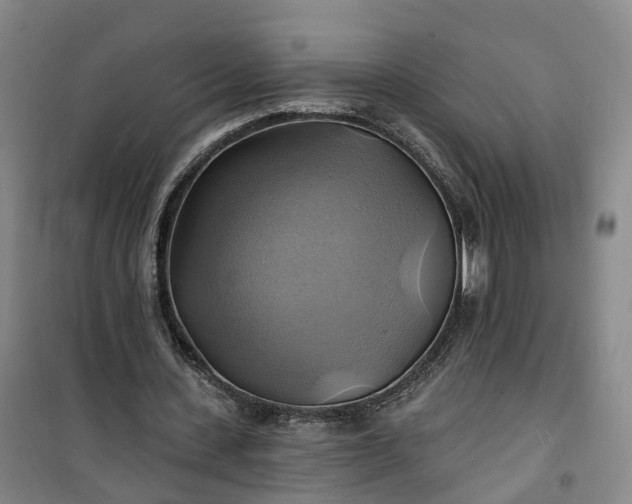 X0000101160531200807111031