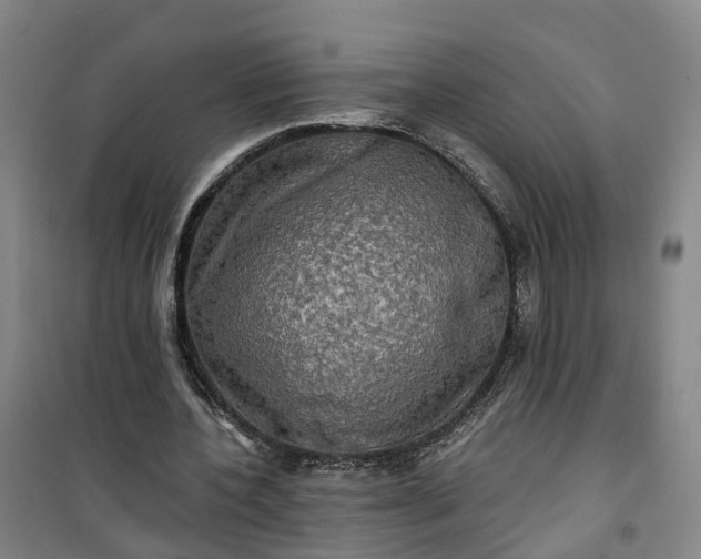 X0000101160532200807111031