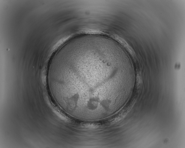 X0000101160533200807111031