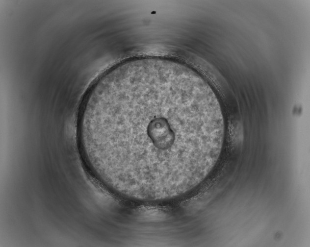 X0000101160534200807111031