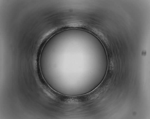 X0000101160535200807111031