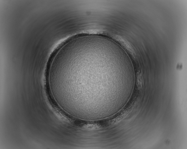 X0000101160536200807111031