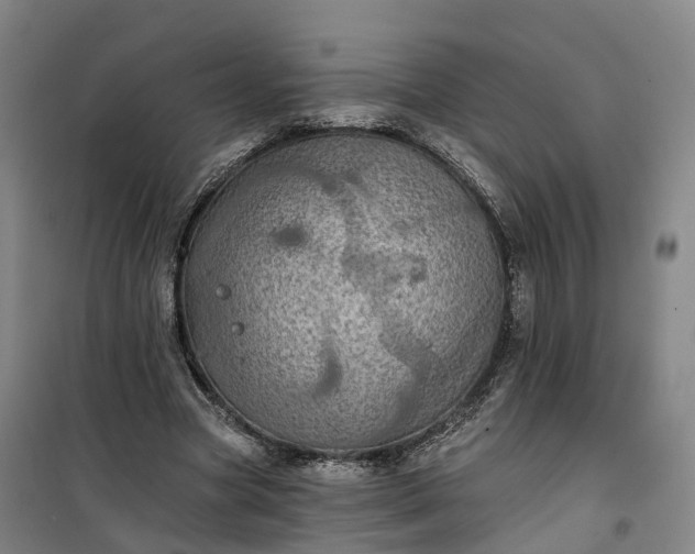 X0000101160537200807111031