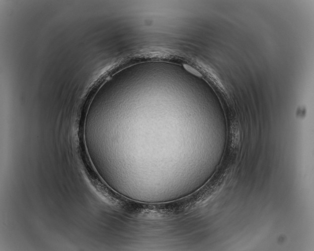 X0000101160538200807111031