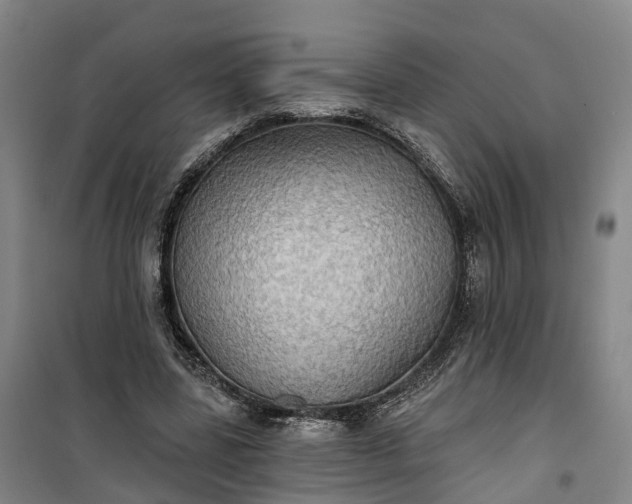 X0000101160539200807111031