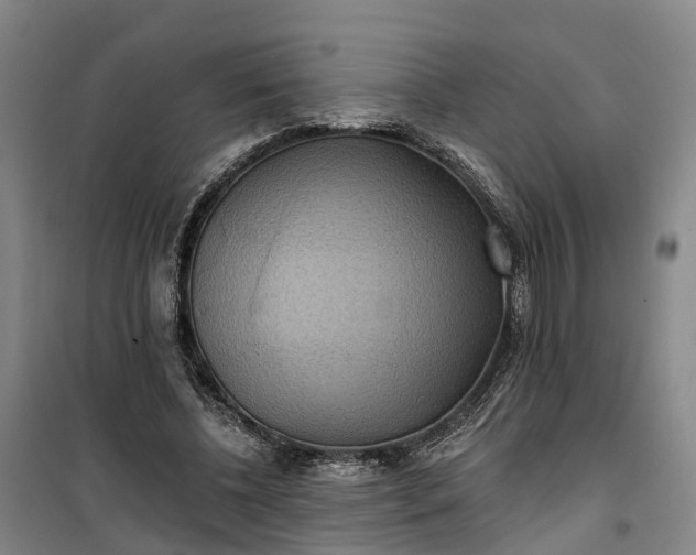 X0000101160540200807111031