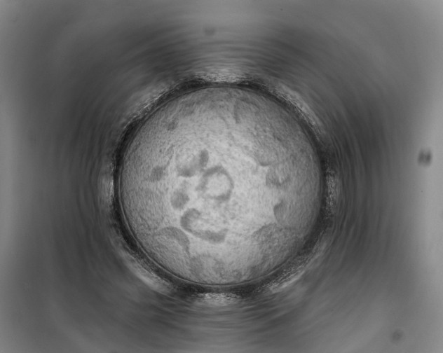 X0000101160541200807111031