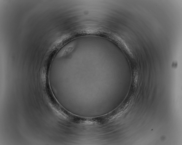 X0000101160542200807111031