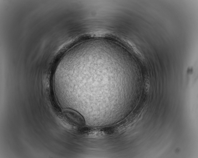 X0000101160543200807111031