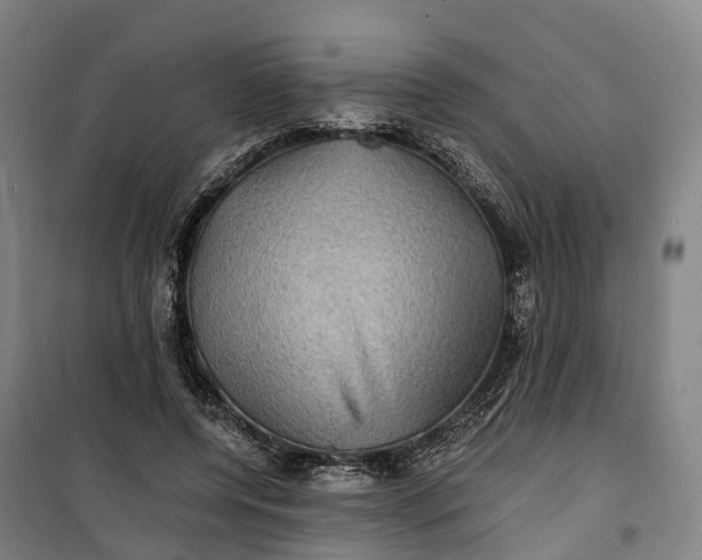 X0000101160544200807111031