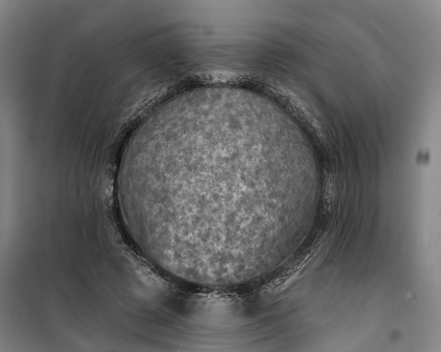 X0000101160545200807111031