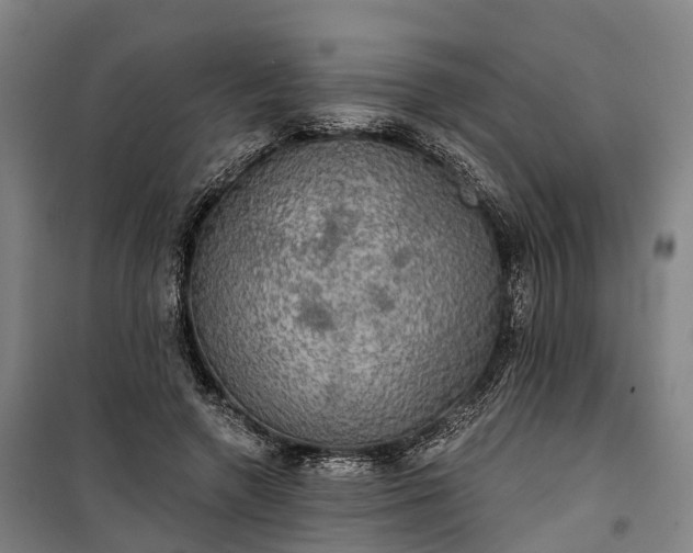 X0000101160546200807111031