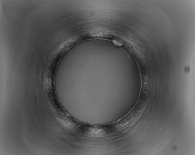 X0000101160547200807111031