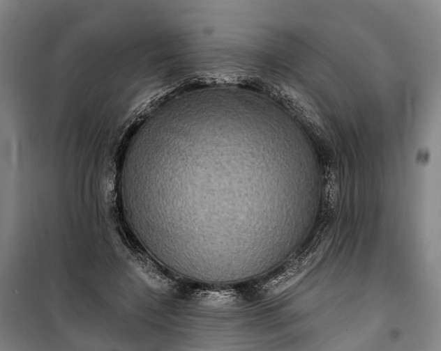 X0000101160548200807111031