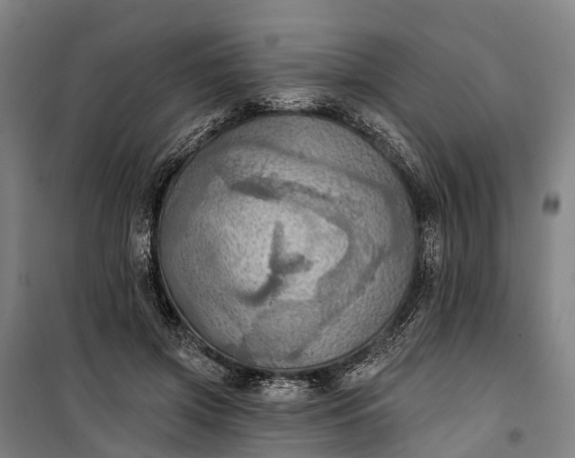 X0000101160549200807111031