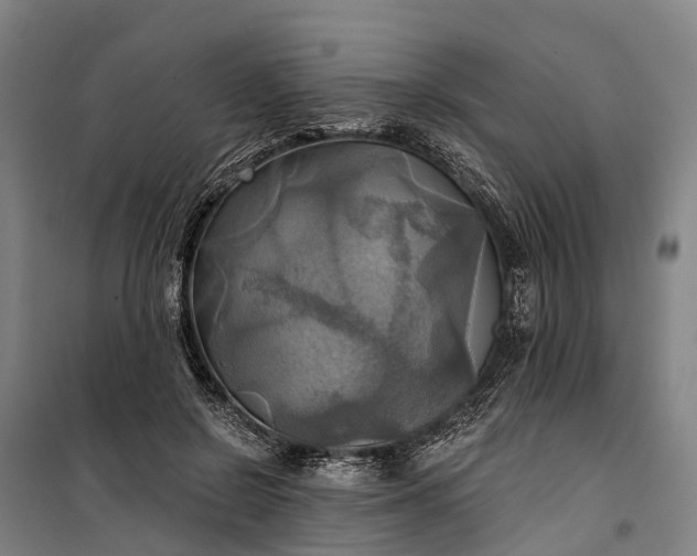 X0000101160550200807111031