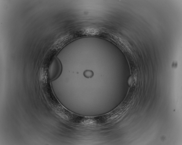 X0000101160551200807111031