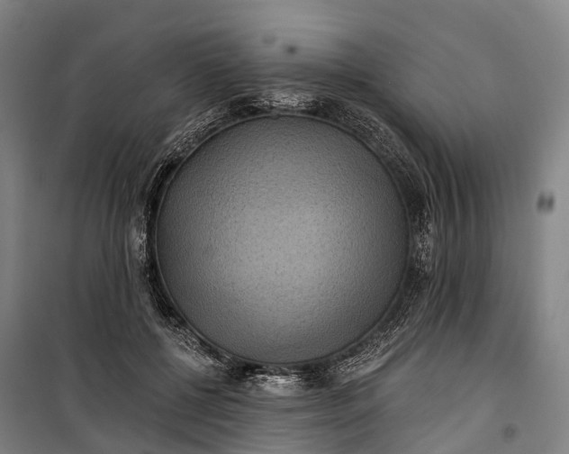 X0000101160552200807111031