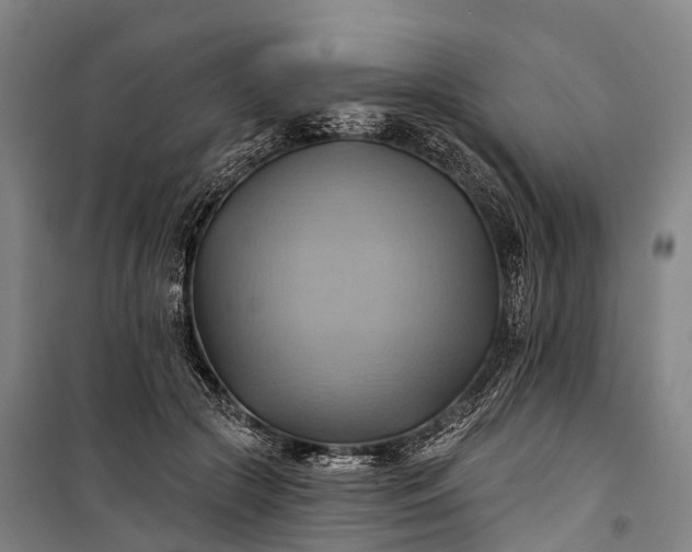 X0000101160553200807111031