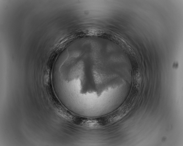 X0000101160554200807111031