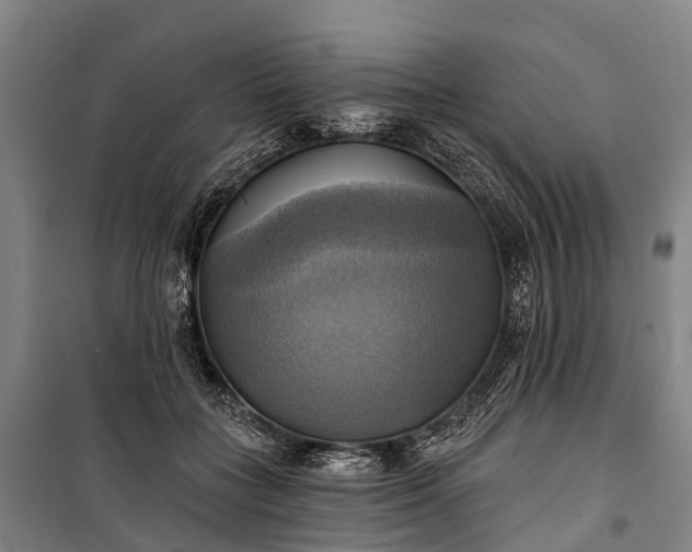 X0000101160555200807111031